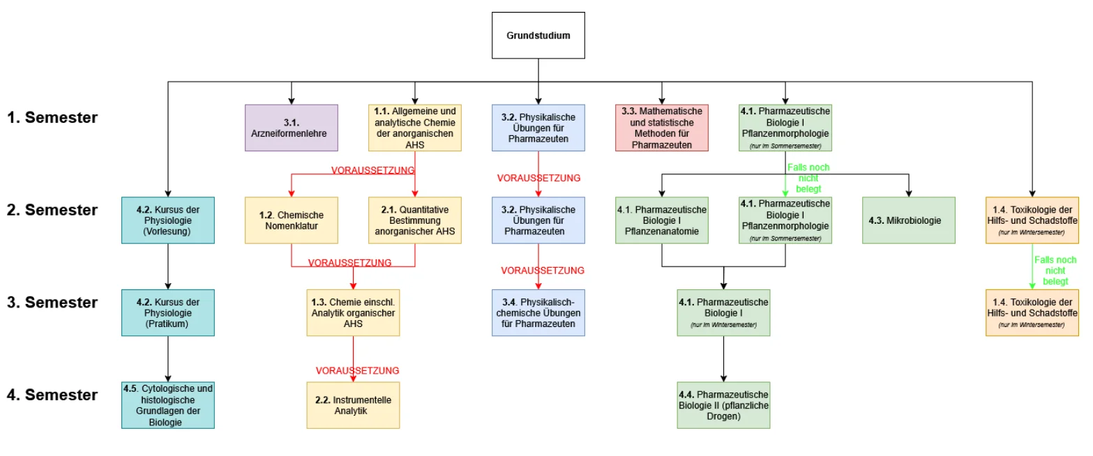Grundstudium-Verlauf.png