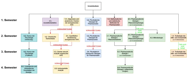 Grundstudium-Verlauf.png