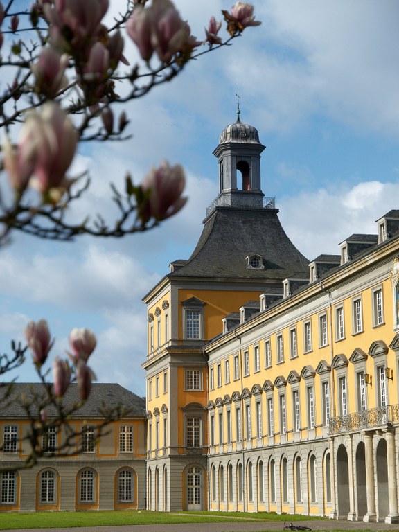 Forschung Klinische Pharmazie Forschung Klinische Pharmazie