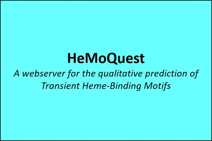 hemoquest_framed.png