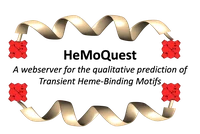 hemoquest.png