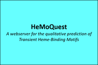 hemoquest_framed.png