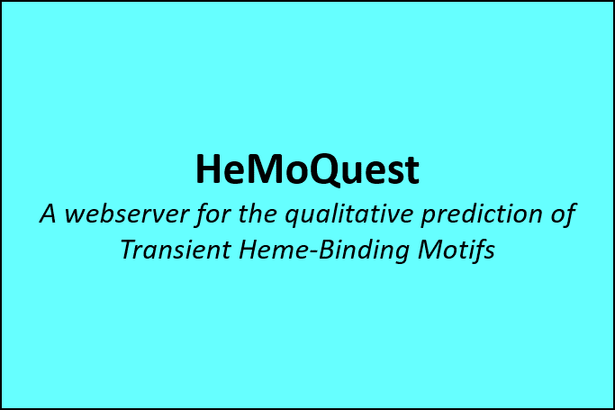 hemoquest_framed.png hemoquest_framed.png