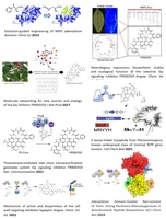 GA publications2023.png