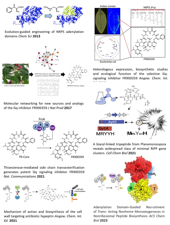 GA publications2023.png