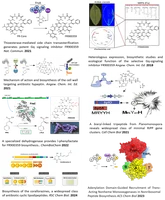 GA publications_2024.png