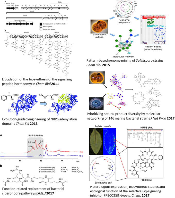 graphical-abstracts-publication-list.png graphical-abstracts-publication-list.png