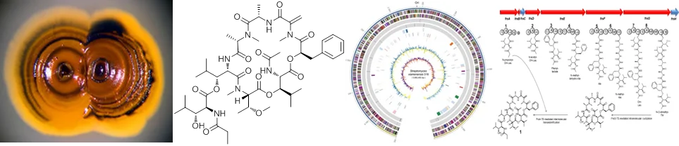 Research Pictures.png