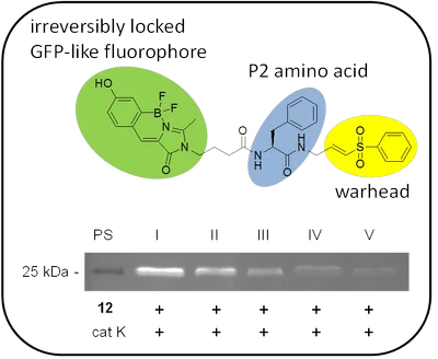 Research_ABPs1.png