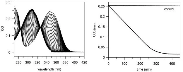 Research_Kinetics1.jpg