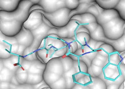 Research_Proteases2.png