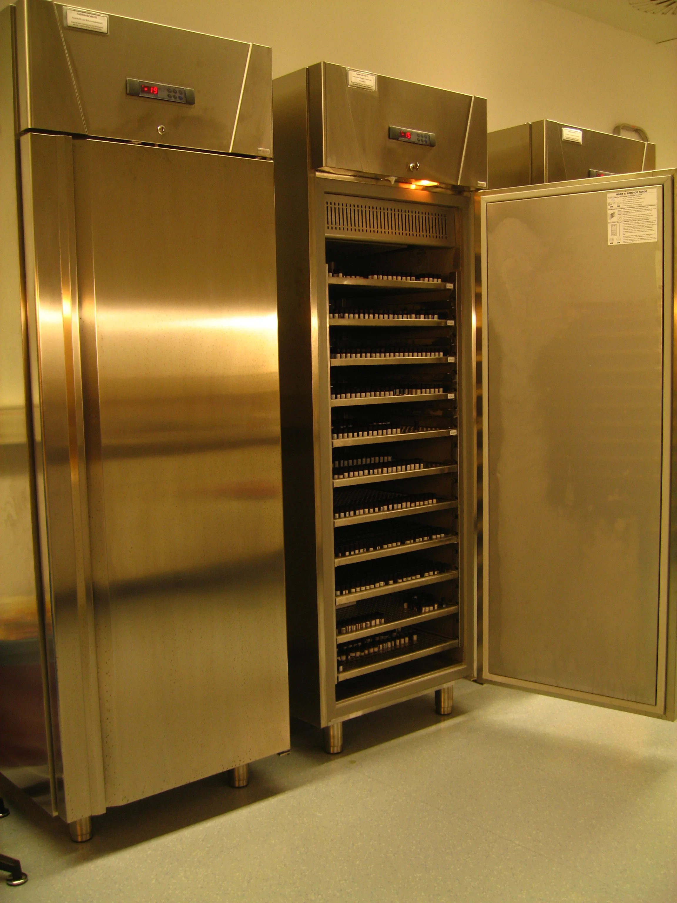 img-7141.jpg