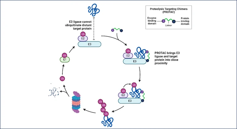 Hansen Forschung3.2.png