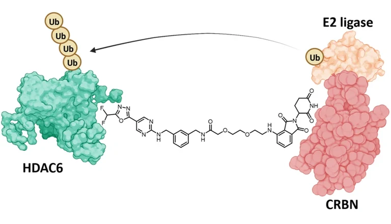 Hansen Forschung4.2.png