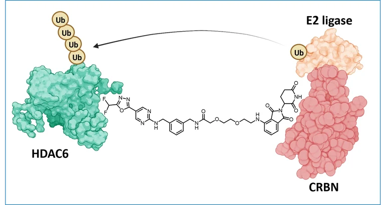 Protac Neu rahmen.png