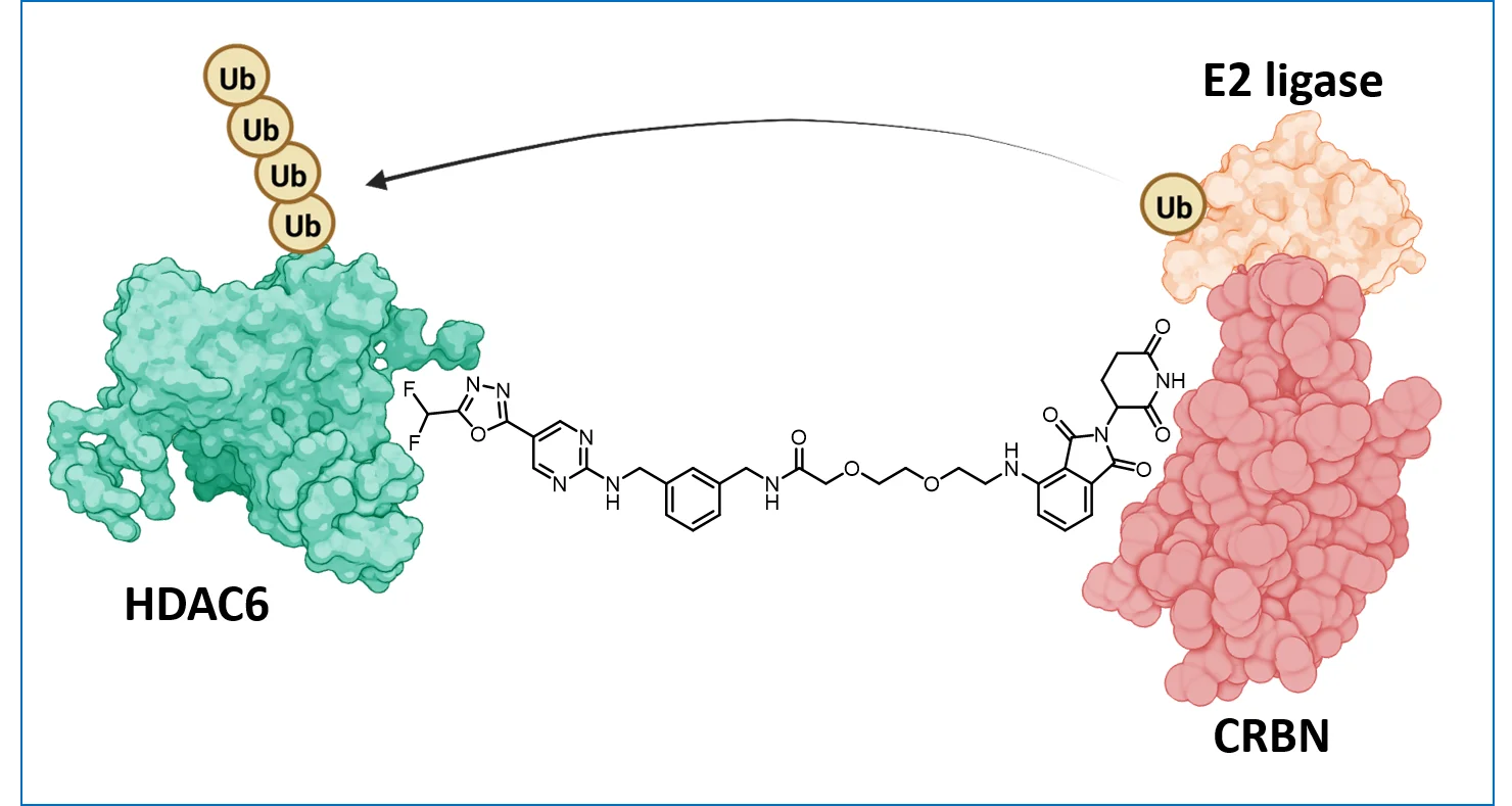 Protac Neu rahmen.png